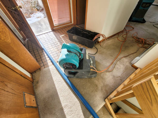 Best Emergency water damage restoration  in Arnold Line, MS
