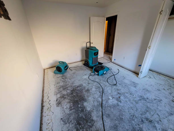 Best Water damage cleanup near me  in Arnold Line, MS