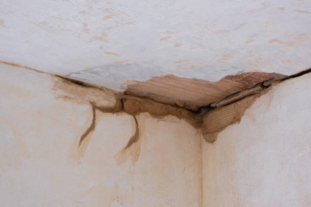 Best Water damage restoration company  in Arnold Line, MS
