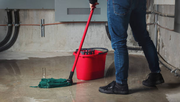 Best Sewage cleanup and water damage restoration  in Arnold Line, MS
