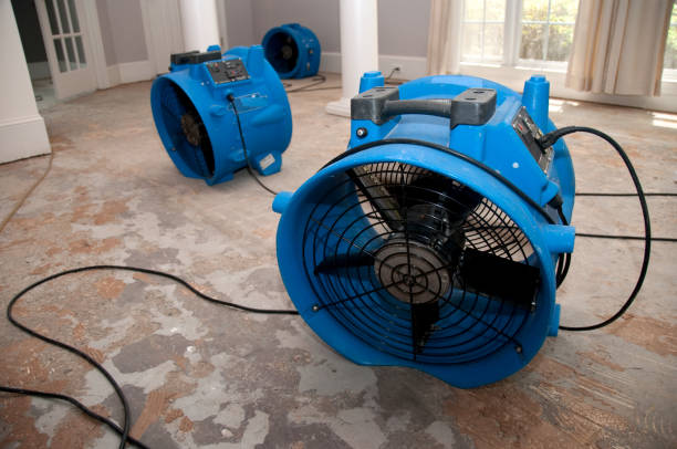 Best Sewage cleanup and water damage restoration  in Arnold Line, MS