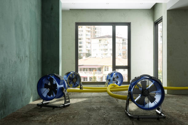 Best Sewage cleanup and water damage restoration  in Arnold Line, MS
